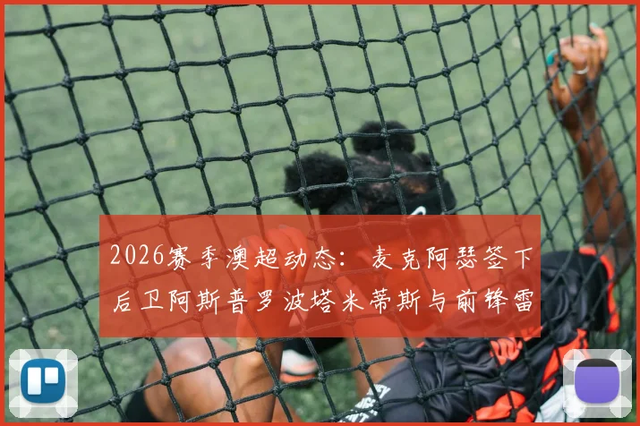 2026赛季澳超动态：麦克阿瑟签下后卫阿斯普罗波塔米蒂斯与前锋雷克，新援背景与球队战术影响全解析